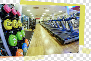 Lifestyle Fitness Gym   Uni Of Liverpool Sports And Fitness Centre  HD Png Download