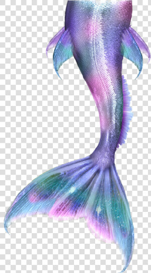 Mermaid Tails Png   Mermaid Tail Drawing  Transparent Png