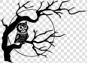 Birch   Clipart   Owl On Tree Drawing  HD Png Download