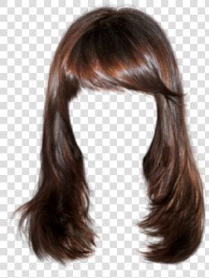  wig  hair  brown   Brunette Hair Transparent  HD Png Download