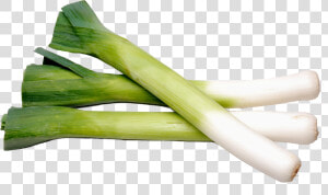 Fresh Leek  HD Png Download