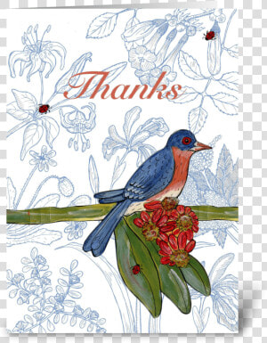 Bluebird Thank You Greeting Card   Eastern Bluebird  HD Png Download