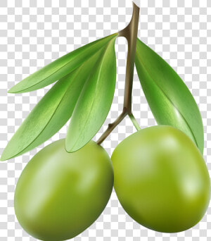 Clip Art Olives Png   Olive Clipart Png  Transparent Png