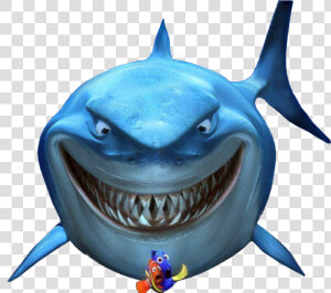 Finding Nemo Marlin Png   Bruce Finding Nemo Png  Transparent Png