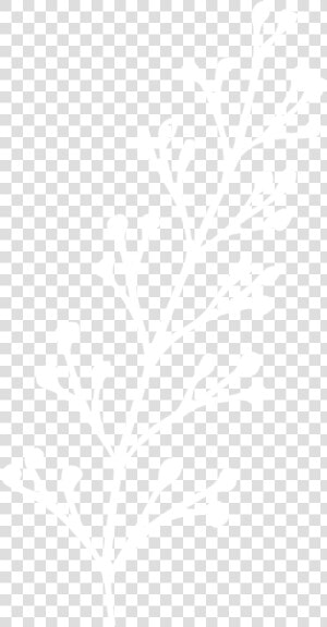 Planta 4 01   Hyatt White Logo Png  Transparent Png