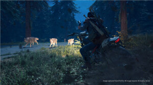 Days Gone Animaux  HD Png Download