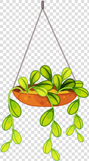 Transparent Hanging Plant Png   Hanging Plant Clipart  Png Download