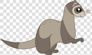 Ferret Vector Animal   Ferret  HD Png Download