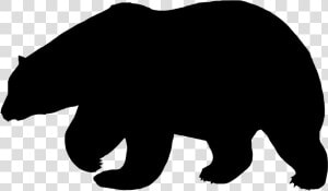 Polar Bear American Black Bear Silhouette   Polar Bear Silhouette Free  HD Png Download