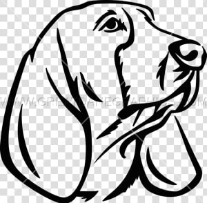 Basset Hound Clipart Head   Basset Hound Drawing Easy  HD Png Download