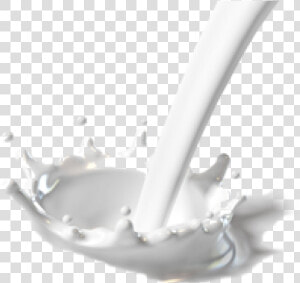 Milk Png Free Download   Milk Splash Milk Pouring Transparent Background  Png Download