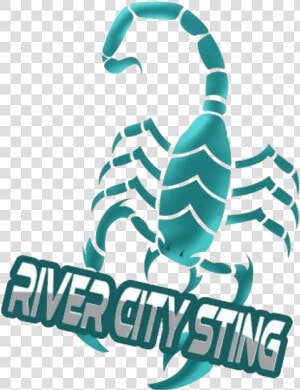 River City Sting   Scorpion  HD Png Download