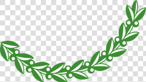 Laurel Clipart Olive Branch   Olive Branch Clipart  HD Png Download