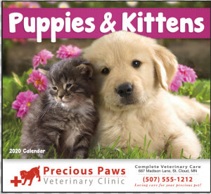 Picture Of Puppies  amp  Kittens Wall Calendar   Cute Wallpapers Of Animals  HD Png Download