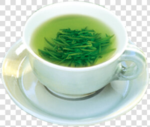 Green Tea Teacup Gratis   Cup  HD Png Download