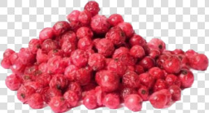 Red Currant Png Photo   Freeze Dried Red Currants  Transparent Png