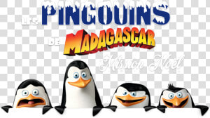 The Madagascar Penguins In A Christmas Caper Image   Madagascar Penguins Png  Transparent Png