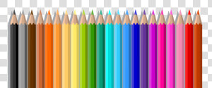 Crayon Colored Pencil   Vector Color Pencil Png  Transparent Png