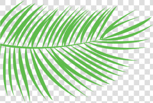 Transparent Reeds Png  Png Download