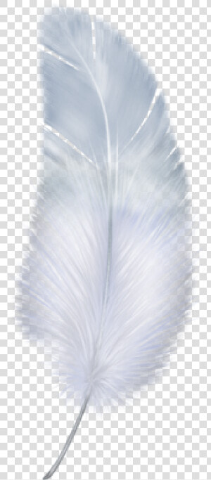 Birdy Feather Png Download   Free Feather Transparent Background  Png Download