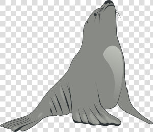 Valessiobrito Sea Lion Svg Clip Arts   Sea Lion Clipart  HD Png Download