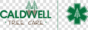 Caldwell Tree Care   Graphic Design  HD Png Download