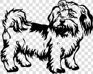 Black And White Drawing Of Shih Tzu  HD Png Download