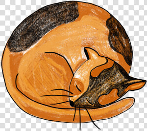 Sleeping Cat Procreate Sleeping Cat Creative Market   Illustration  HD Png Download