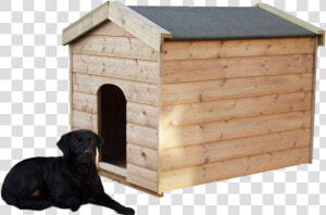 Dog In A Kennel Png  Transparent Png