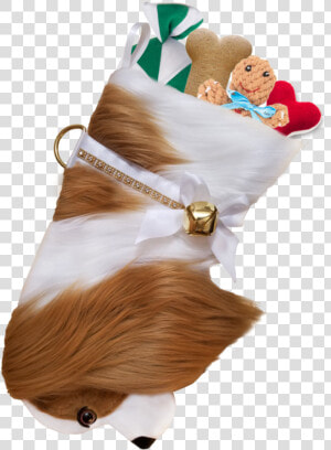 This Cavalier King Charles Spaniel Dog Christmas Stocking  HD Png Download