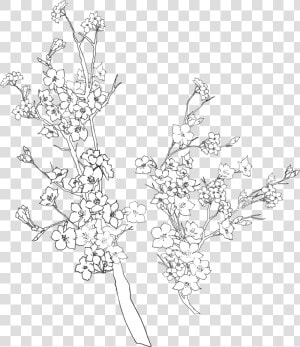 Transparent Black And White Flowers Tumblr   Flower Tumblr White Flowers Transparent  HD Png Download