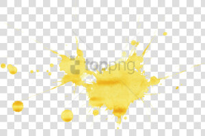 Free Png Yellow Paint Splash Png Png Image With Transparent   Orb weaver Spider  Png Download