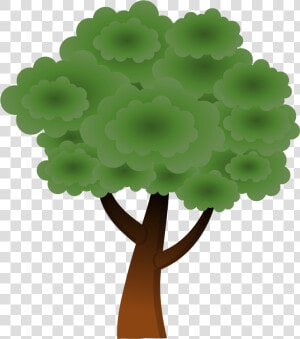 A Simple Tree   Free Tree Canopy Clipart  HD Png Download