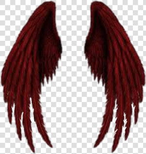 Demon Wings Png   Angel Of Death Wings  Transparent Png