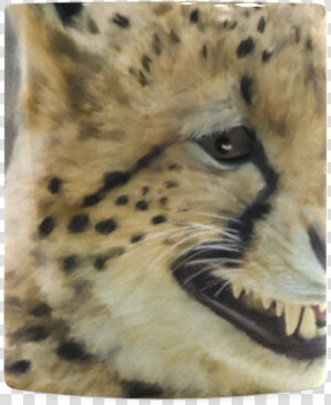 Painting Grinning Cheetah Portrait White Mug   Cheetah  HD Png Download