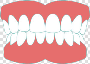 Dentures Sudbury  HD Png Download