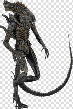   Neca Alien Defiance Xenomorph   Png Download   Aliens Defiance Xenomorph Figure  Transparent Png