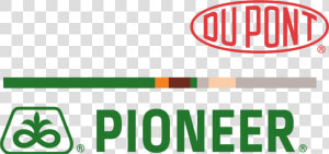 Dupont Pioneer Logo  HD Png Download