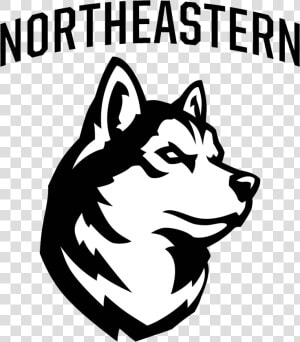 Northeastern Huskies  HD Png Download