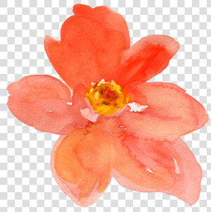 Free Fall Watercolor Floral Clip Art  So Pretty   Orange Watercolor Flower Transparent  HD Png Download