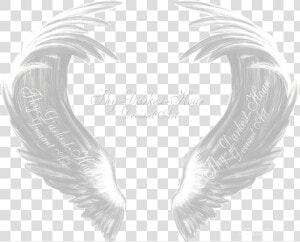 Transparent White Angel Wings Png   Transparent Png Angel White Wings  Png Download