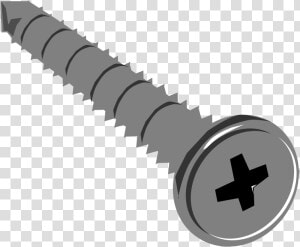 Transparent Screw Head Png   Screws Clip Art  Png Download