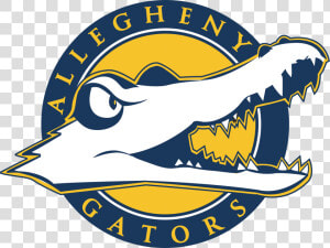 Allegheny College Football Logo  HD Png Download