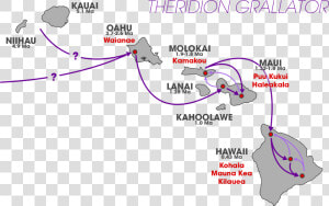 Theridion Grallator Colonization Pattern   Theridion Grallator Schema  HD Png Download