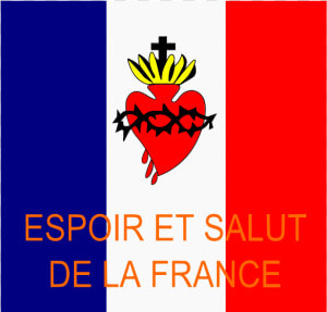 File   Drapeau Esf   Svg   Salut De La France Drapeau  HD Png Download