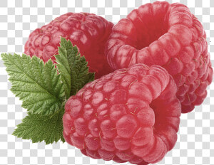 Raspberry Fruit Benefits  HD Png Download