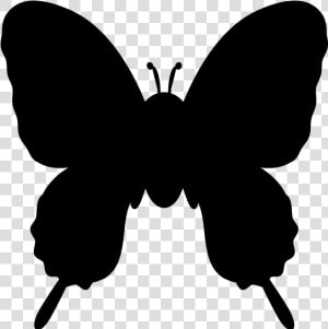 Butterfly Silhouette Clip Art   Silhouette Of A Butterfly  HD Png Download