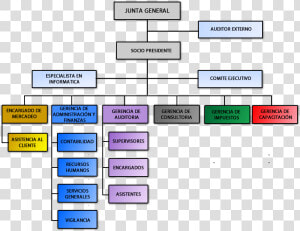 Organigrama De Una Firma Auditora  HD Png Download