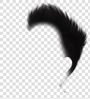 Transparent Hair Png   Stylish Photo Editing Background  Png Download