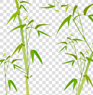 Bamboo Watercolor Painting Poster   Bamboo Trees Watercolor Png  Transparent Png